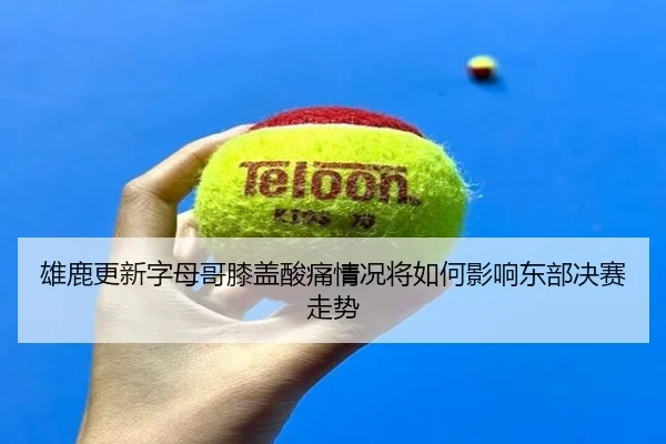 雄鹿更新字母哥膝盖酸痛情况将如何影响东部决赛走势
